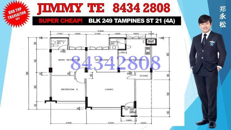 Blk 249 Tampines Street 21 (Tampines), HDB 4 Rooms #113456372